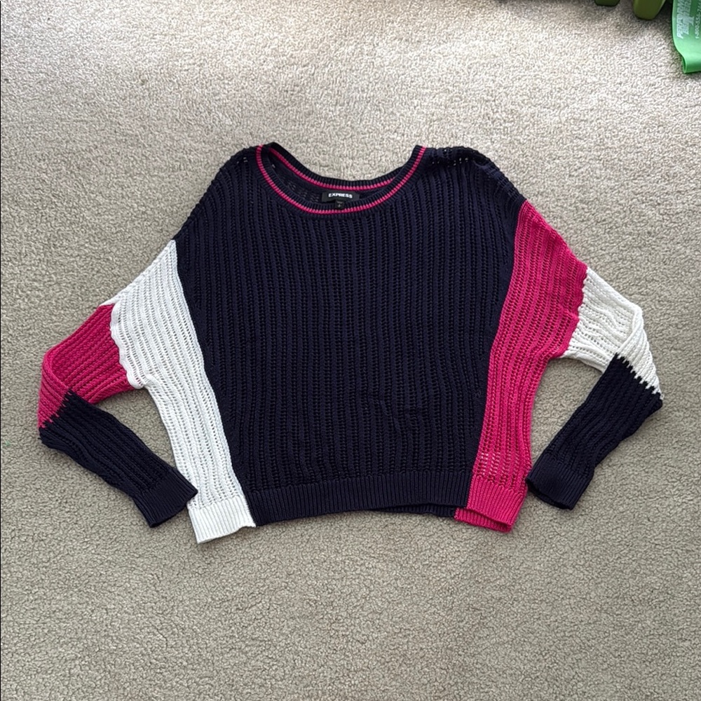 Express Crew Neck Colorblock Sweater